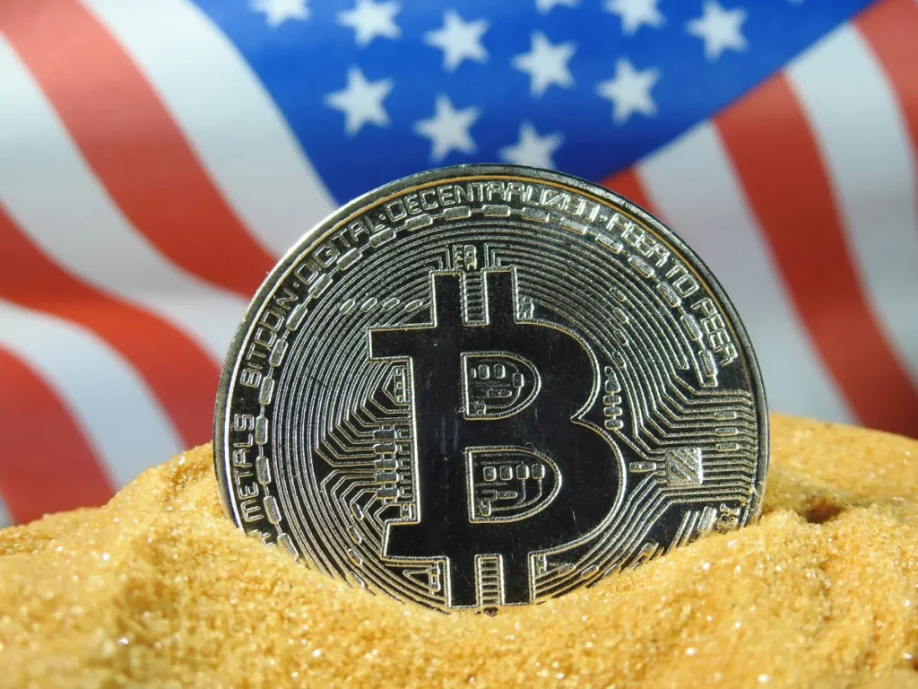 How to pay your US citizenship application fees. A Bitcoin and US flag background